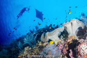 Right place, right time. by Henley Spiers 